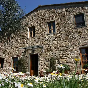Il Casello , Greve in Chianti Italia