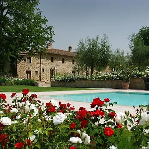 I Grandi Di Toscana , Ciggiano Italia